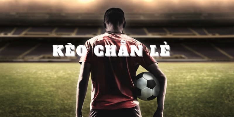 Lý do nên chọn kèo chẵn lẻ bóng đá tại Manclub